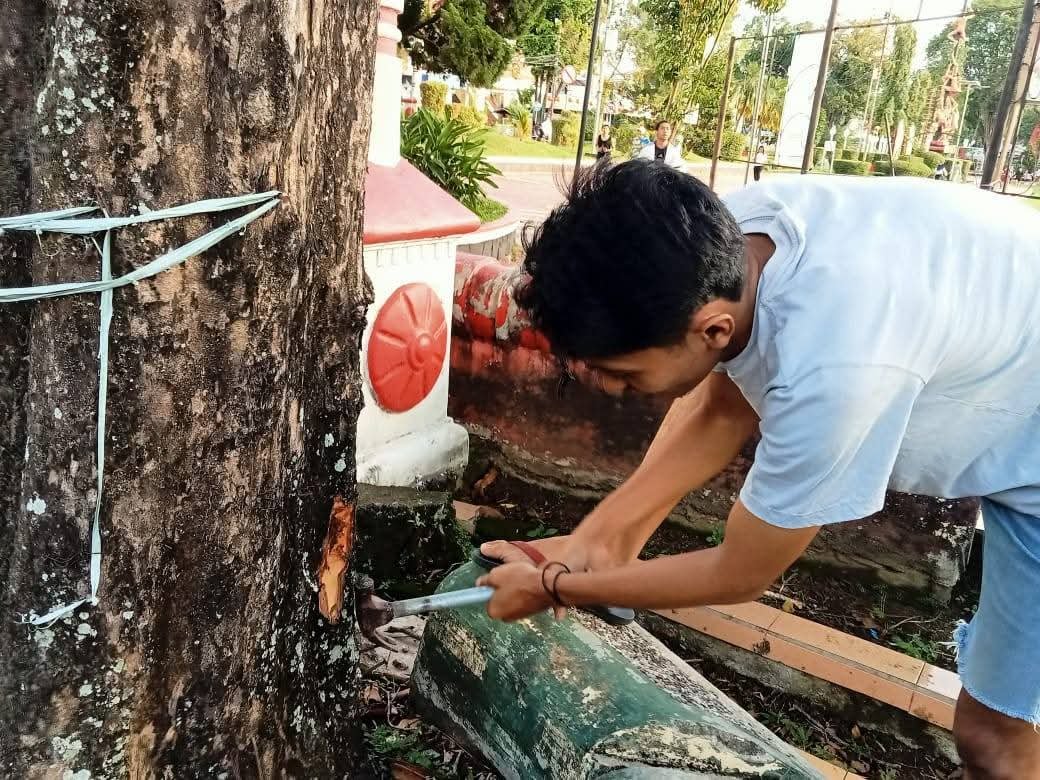 Aksi Peduli Lingkungan, BPKel Oi Hidup Manado Cabut 113 Paku Dari Pohon