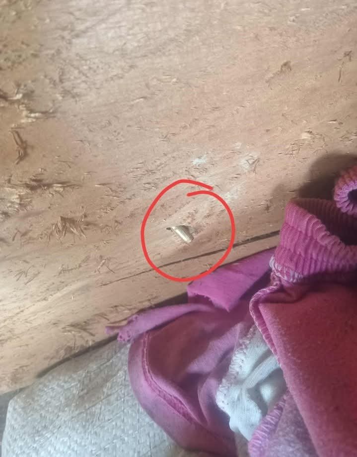 Peluru Nyasar Hampir Makan Korban, Diduga Akibat Latihan TNI AD di Kelelondey